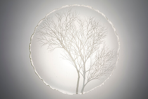 ガラス作家｜西山雪｜YUKI NISHIYAMA