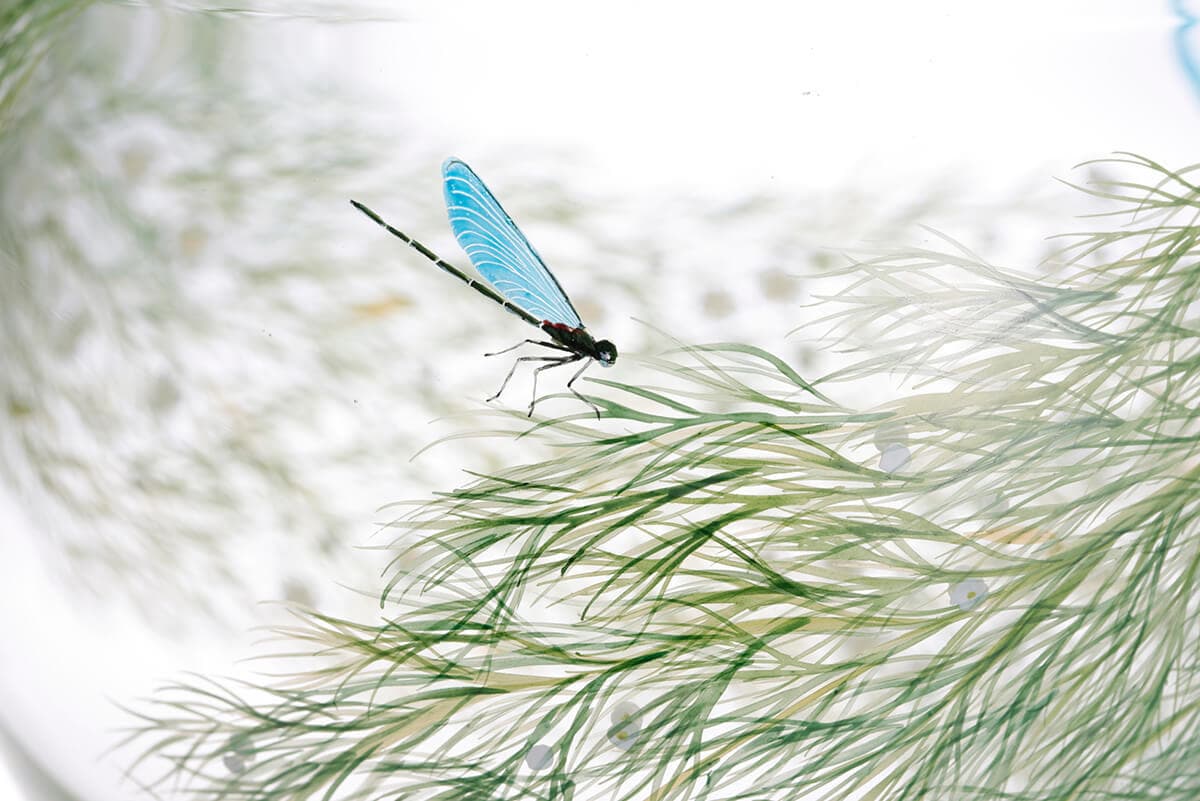 YUKI_NISHIYAMA_glass