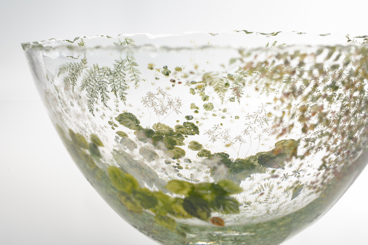 ガラス作家 西山雪｜うたかた