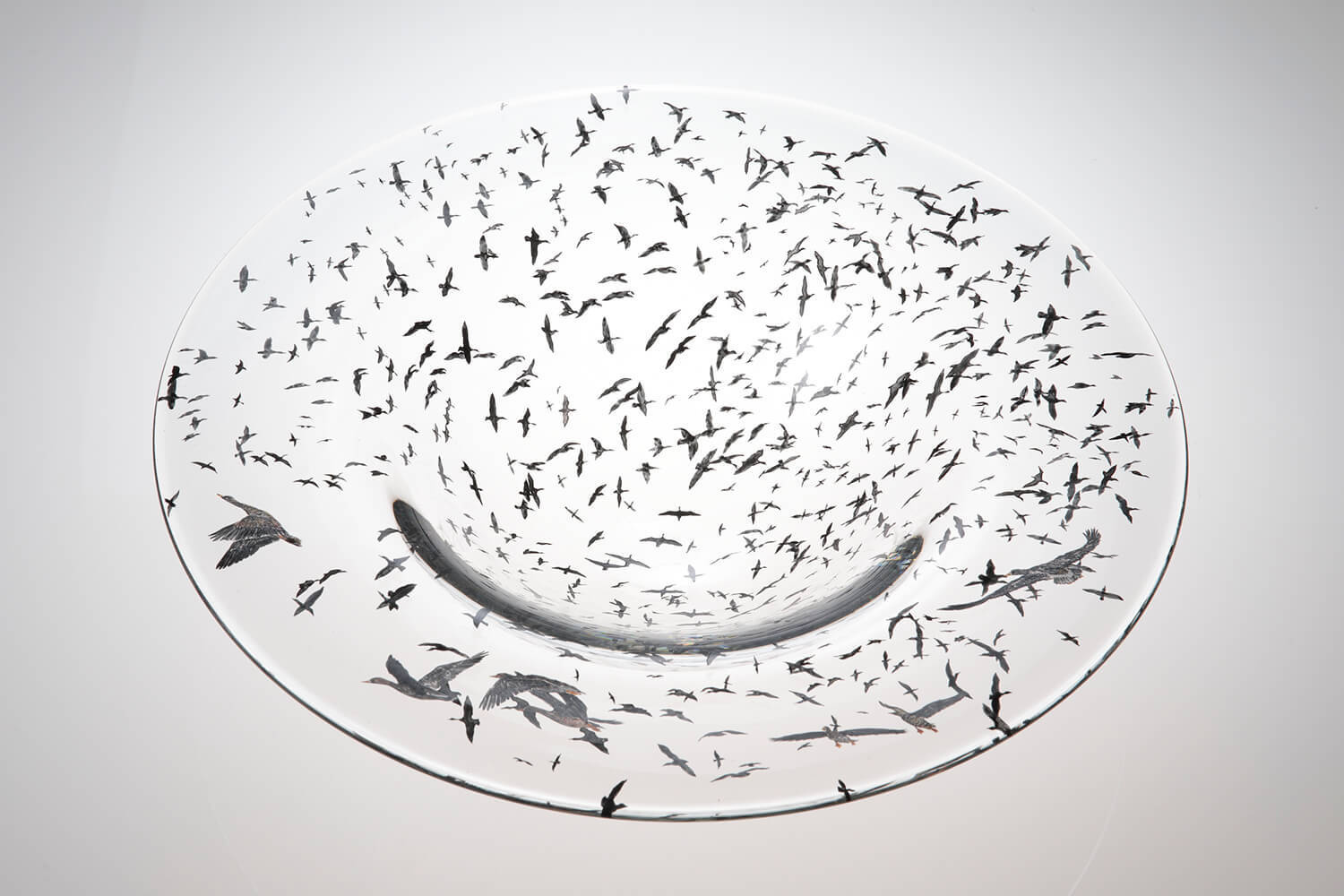 Nishiyama_yuki_glass