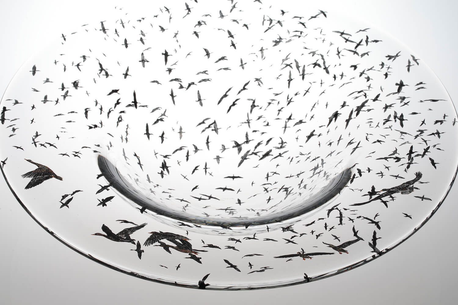 Nishiyama_yuki_glass