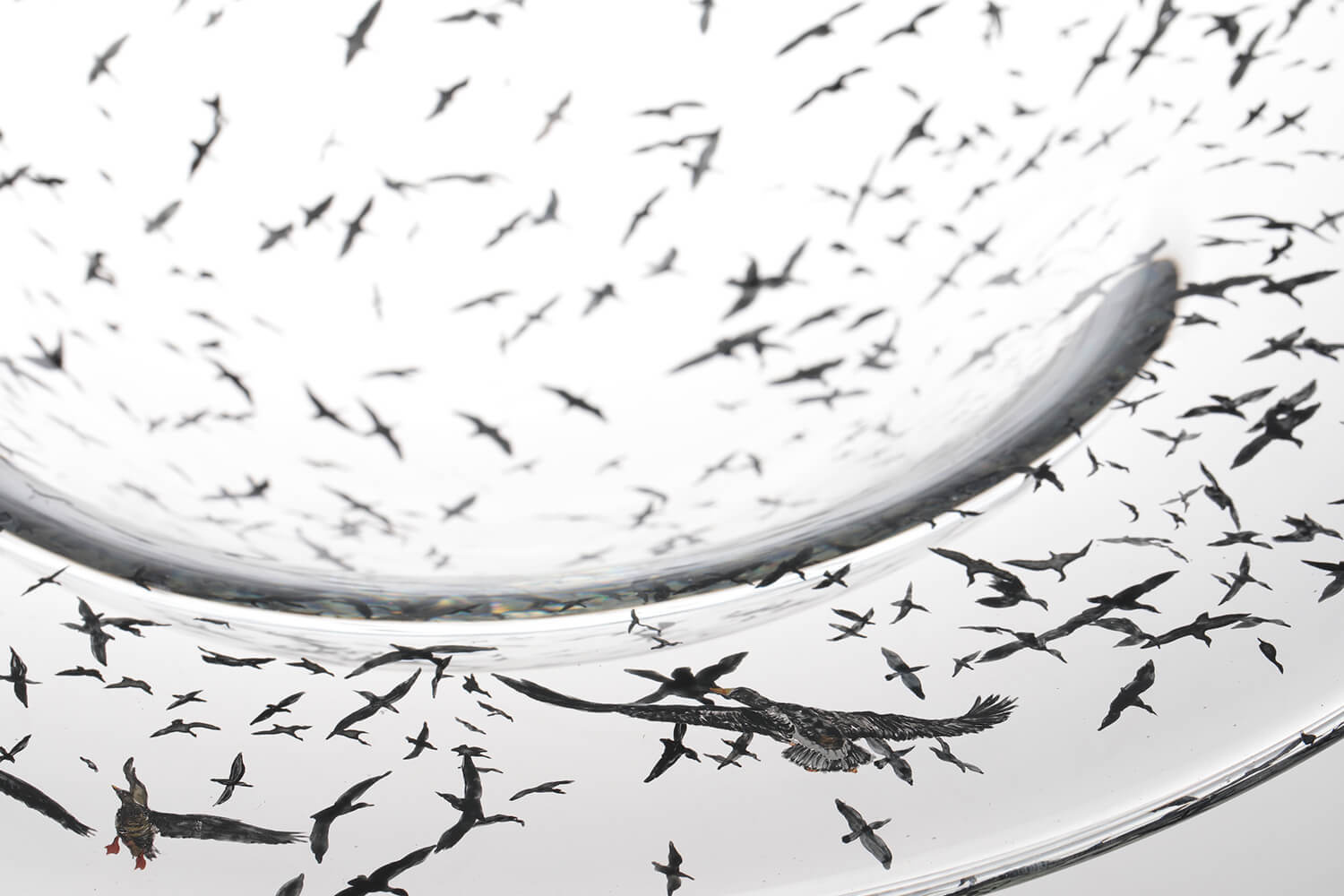 Nishiyama_yuki_glass