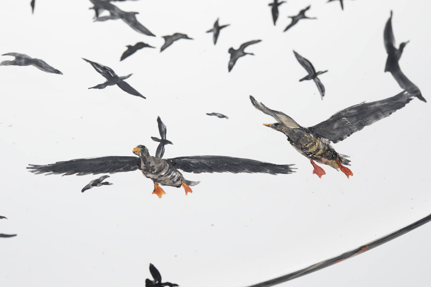 Nishiyama_yuki_glass