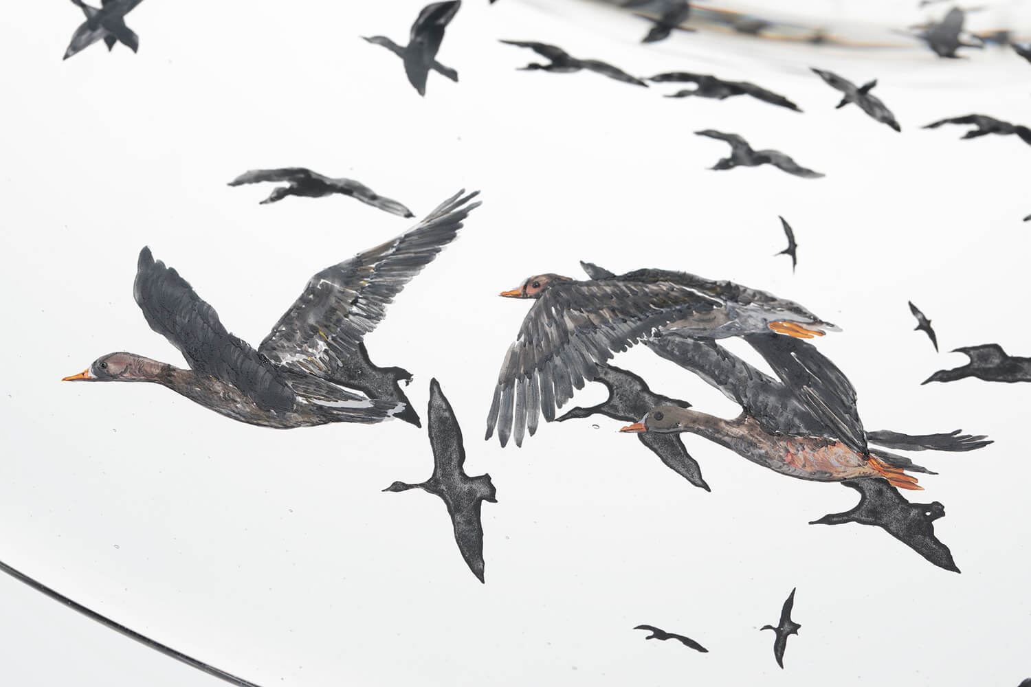 Nishiyama_yuki_glass