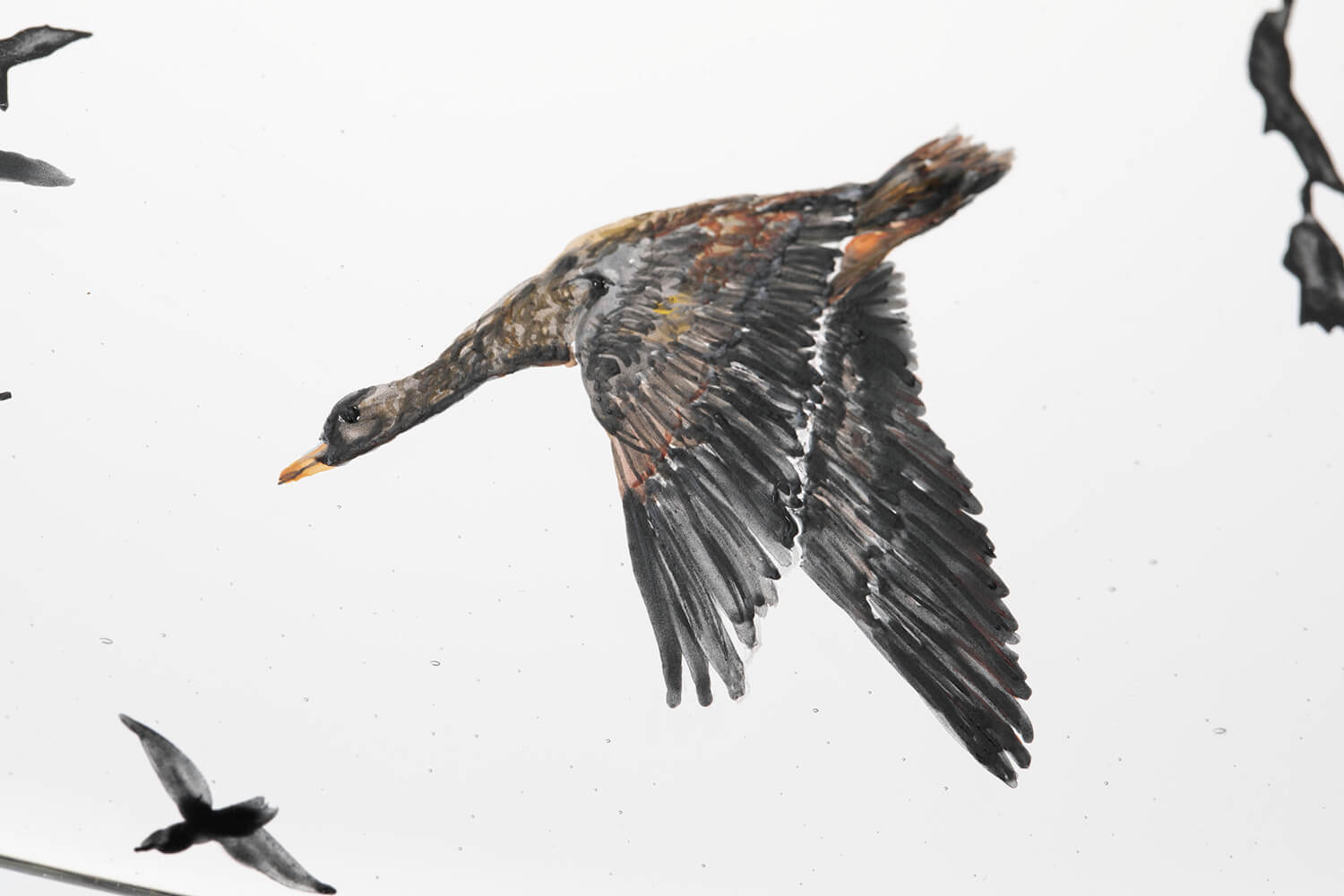 Nishiyama_yuki_glass