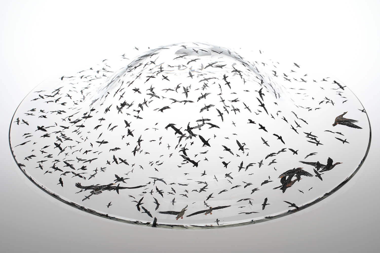 Nishiyama_yuki_glass