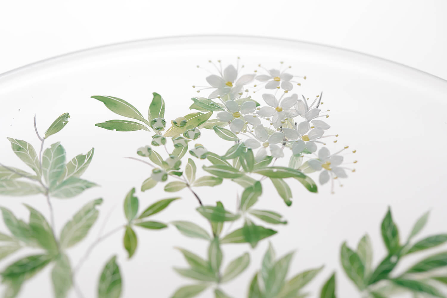 西山雪｜YUKI_NISHIYAMA_glass