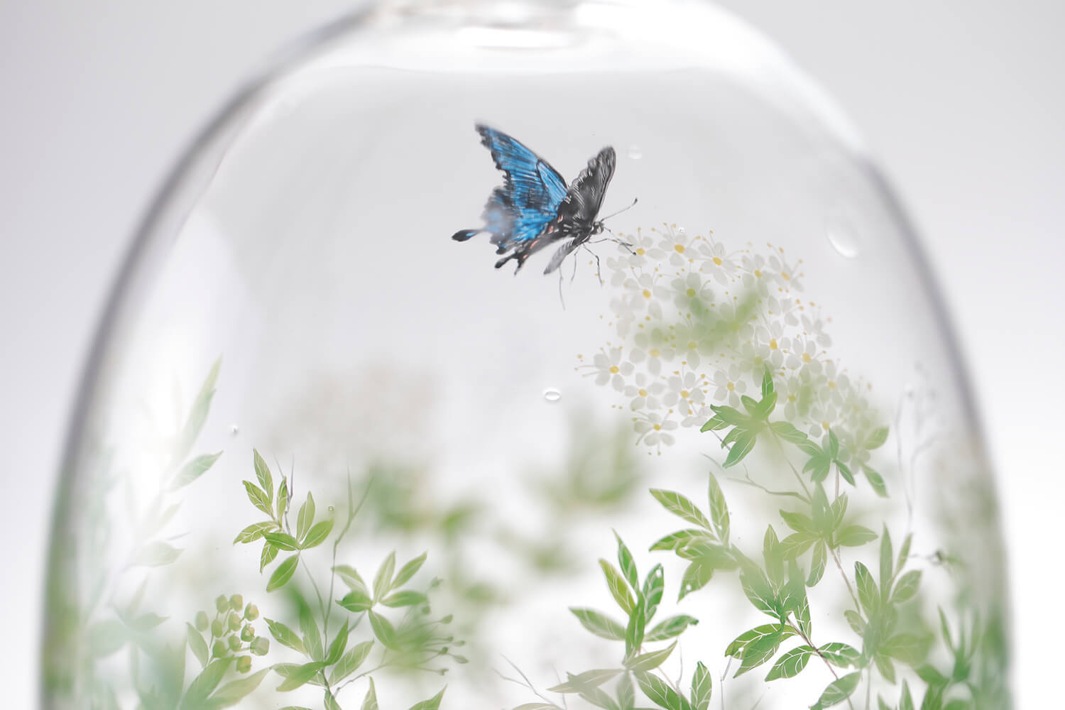 西山雪｜YUKI_NISHIYAMA_glass