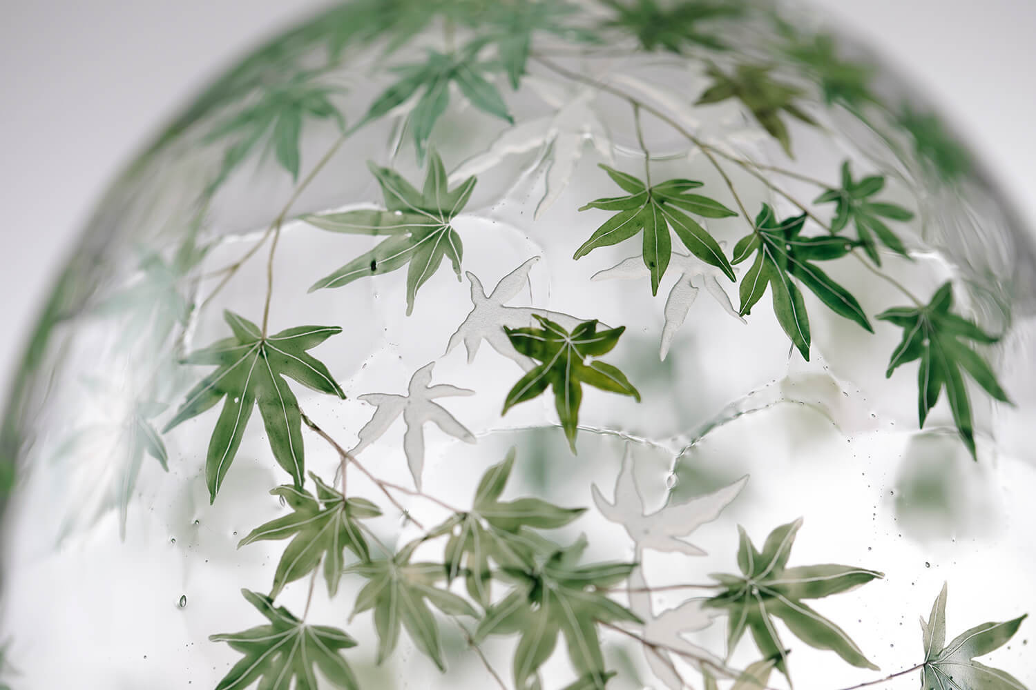 西山雪｜YUKI_NISHIYAMA_glass