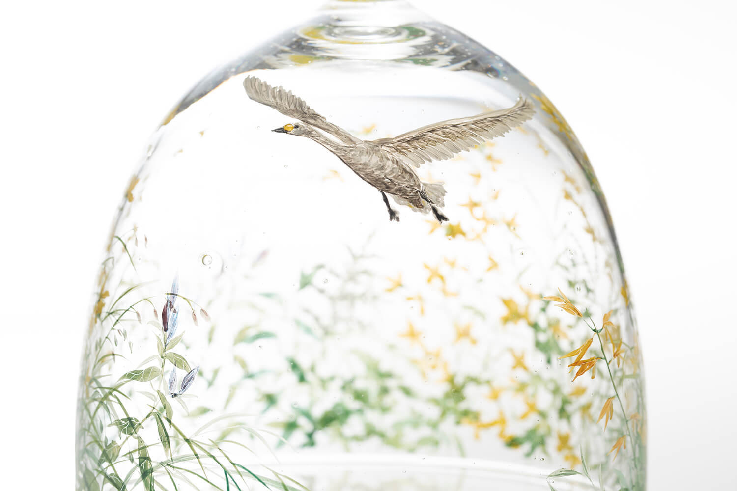 Nishiyama_yuki_glass