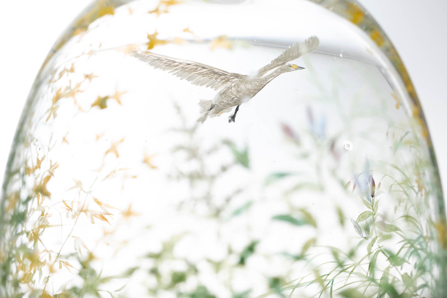 Nishiyama_yuki_glass