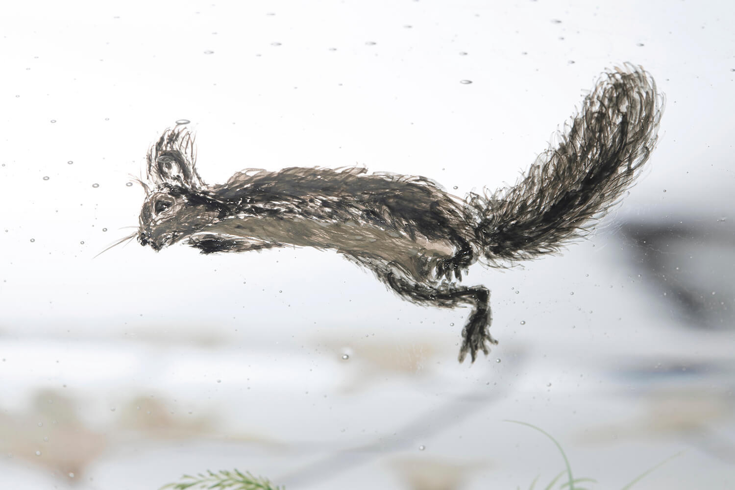 Nishiyama_yuki_glass