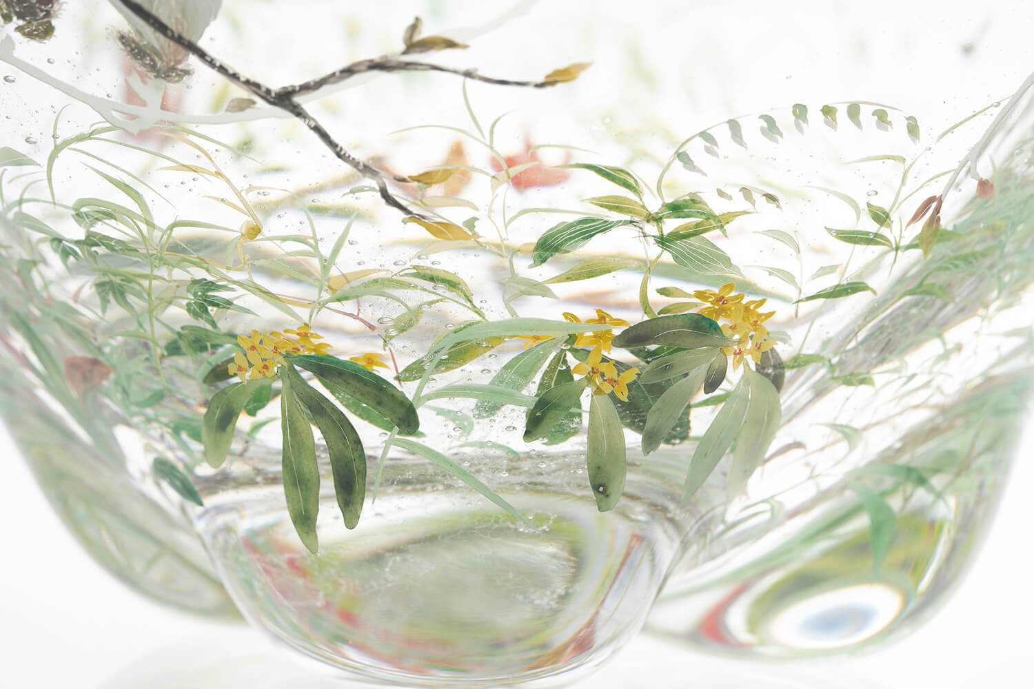 Nishiyama_yuki_glass