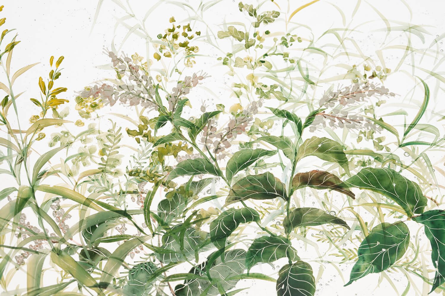 Nishiyama_yuki_glass