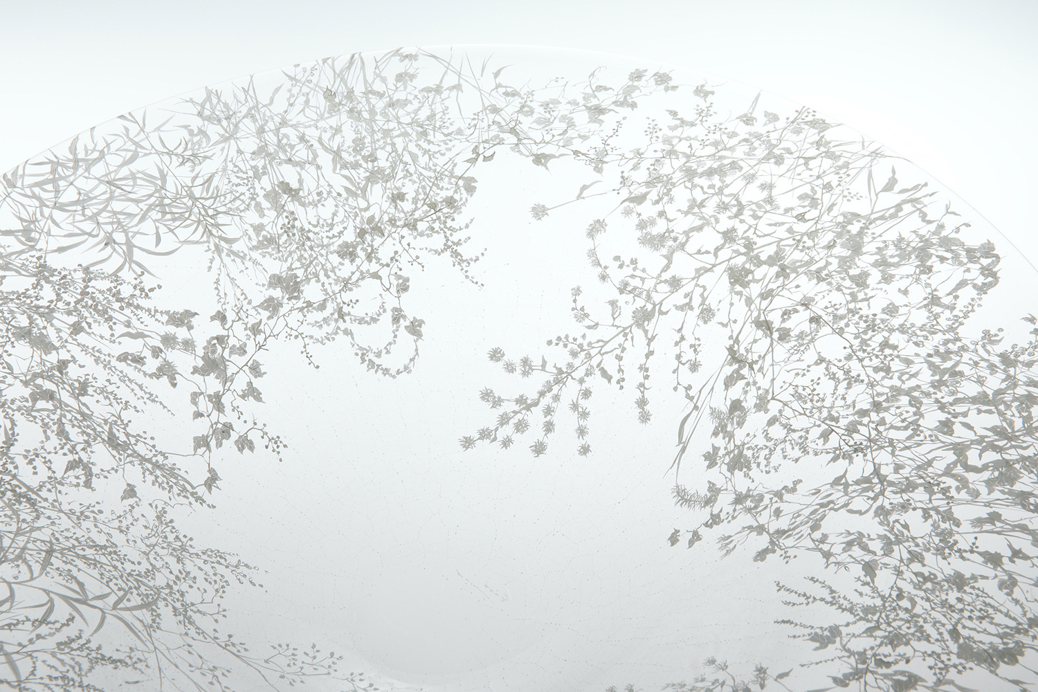 Nishiyama_yuki_glass