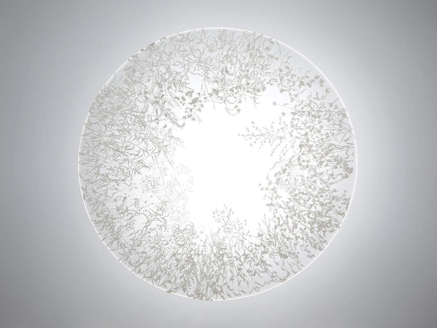 Nishiyama_yuki_glass