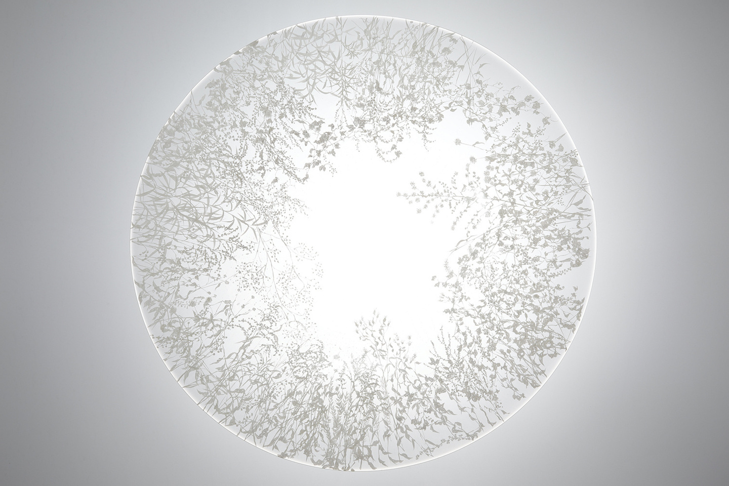 青の瞬｜西山雪｜YUKI NISHIYAMA