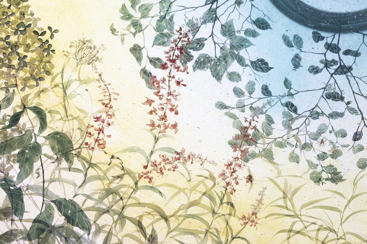 Nishiyama_yuki_glass