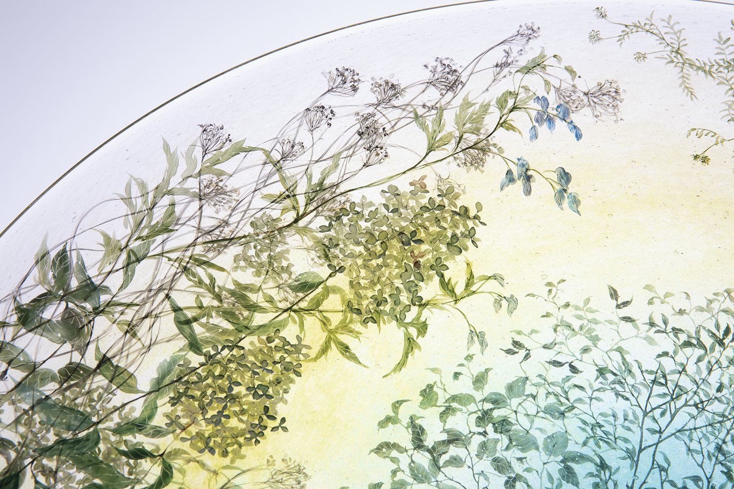 Nishiyama_yuki_glass