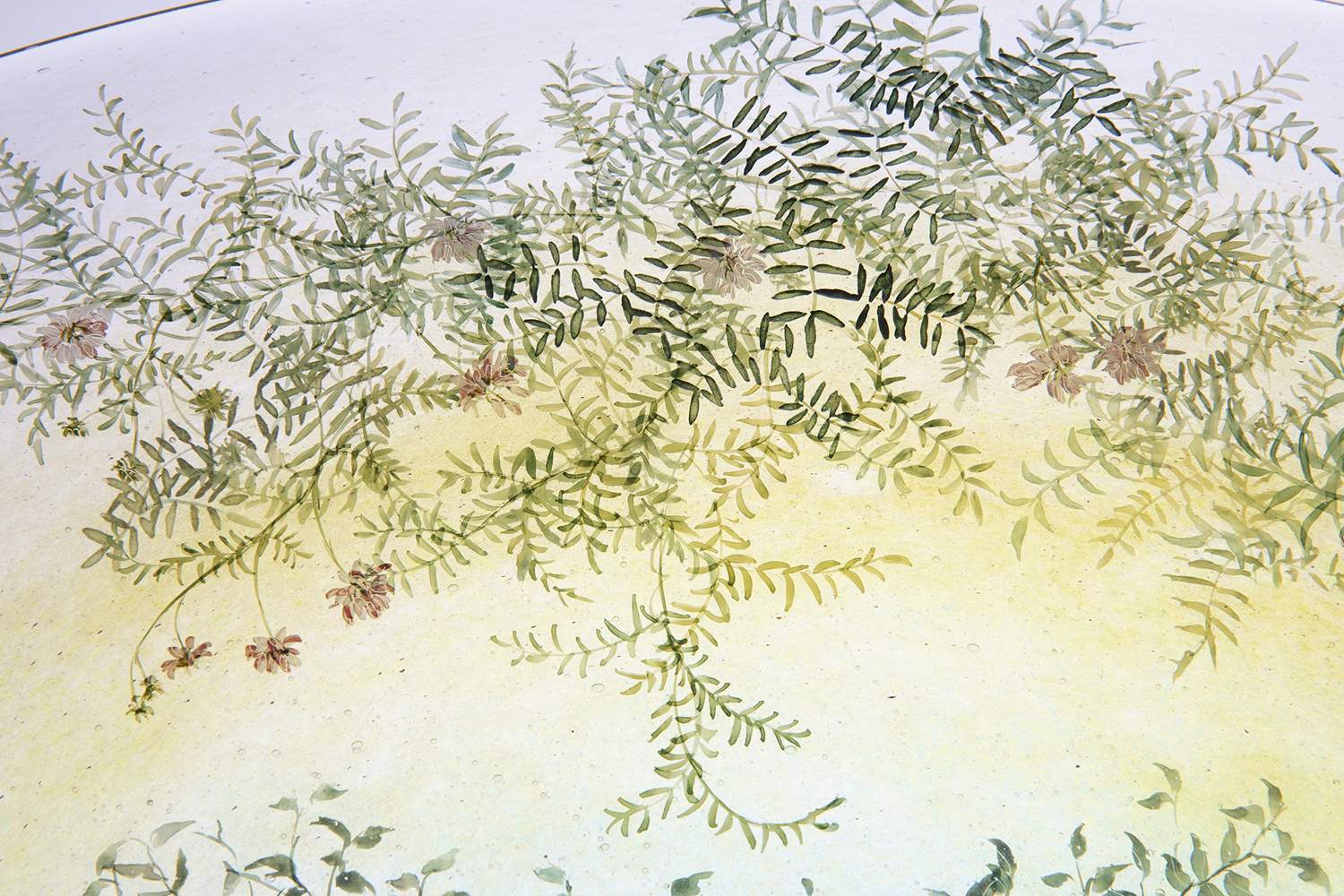 Nishiyama_yuki_glass