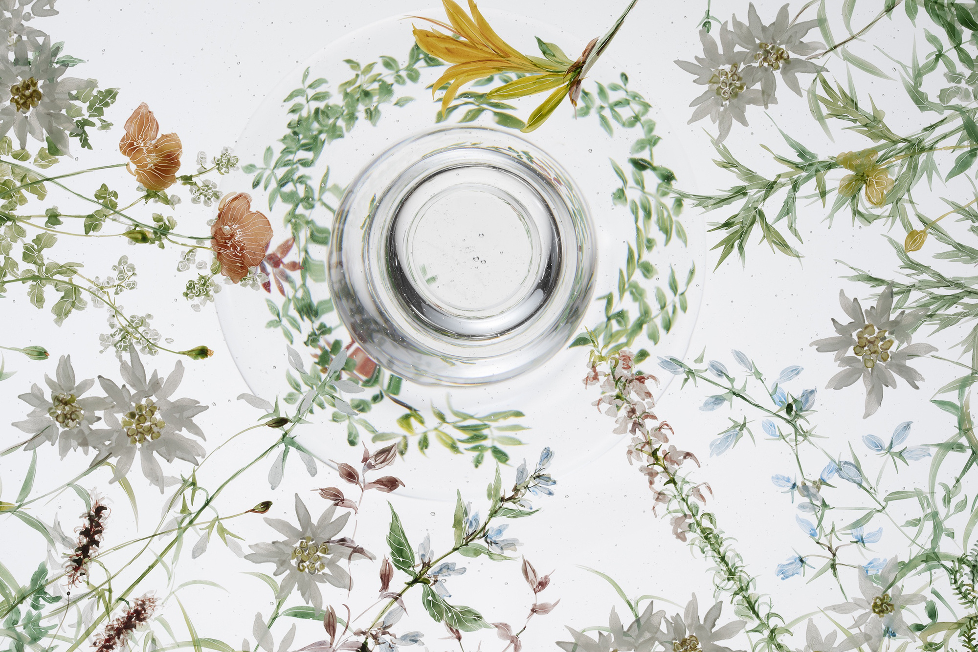 西山雪｜ガラス作家