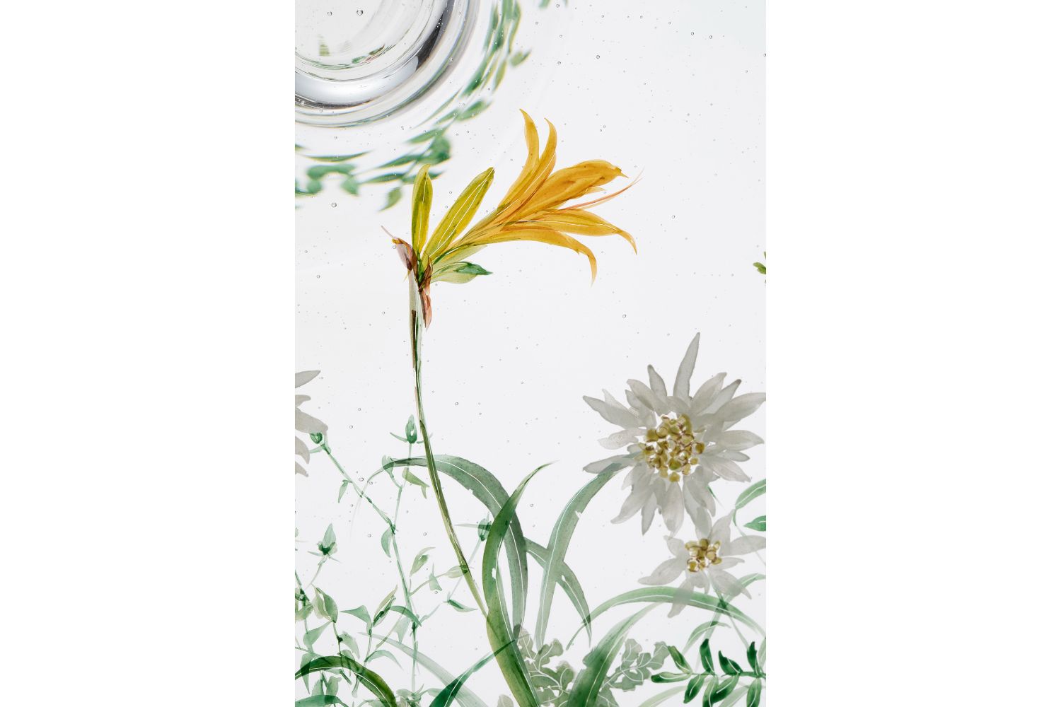 西山雪｜ガラス作家