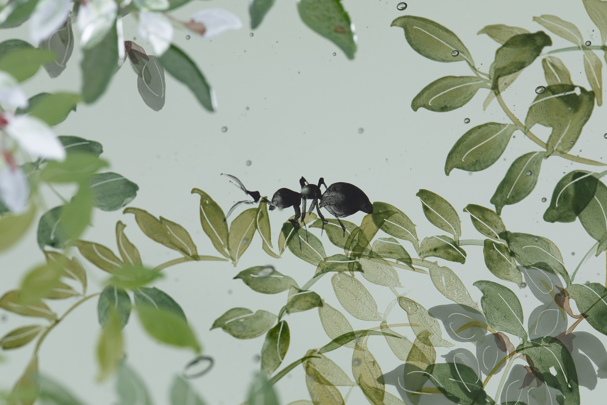 西山雪｜ガラス作家