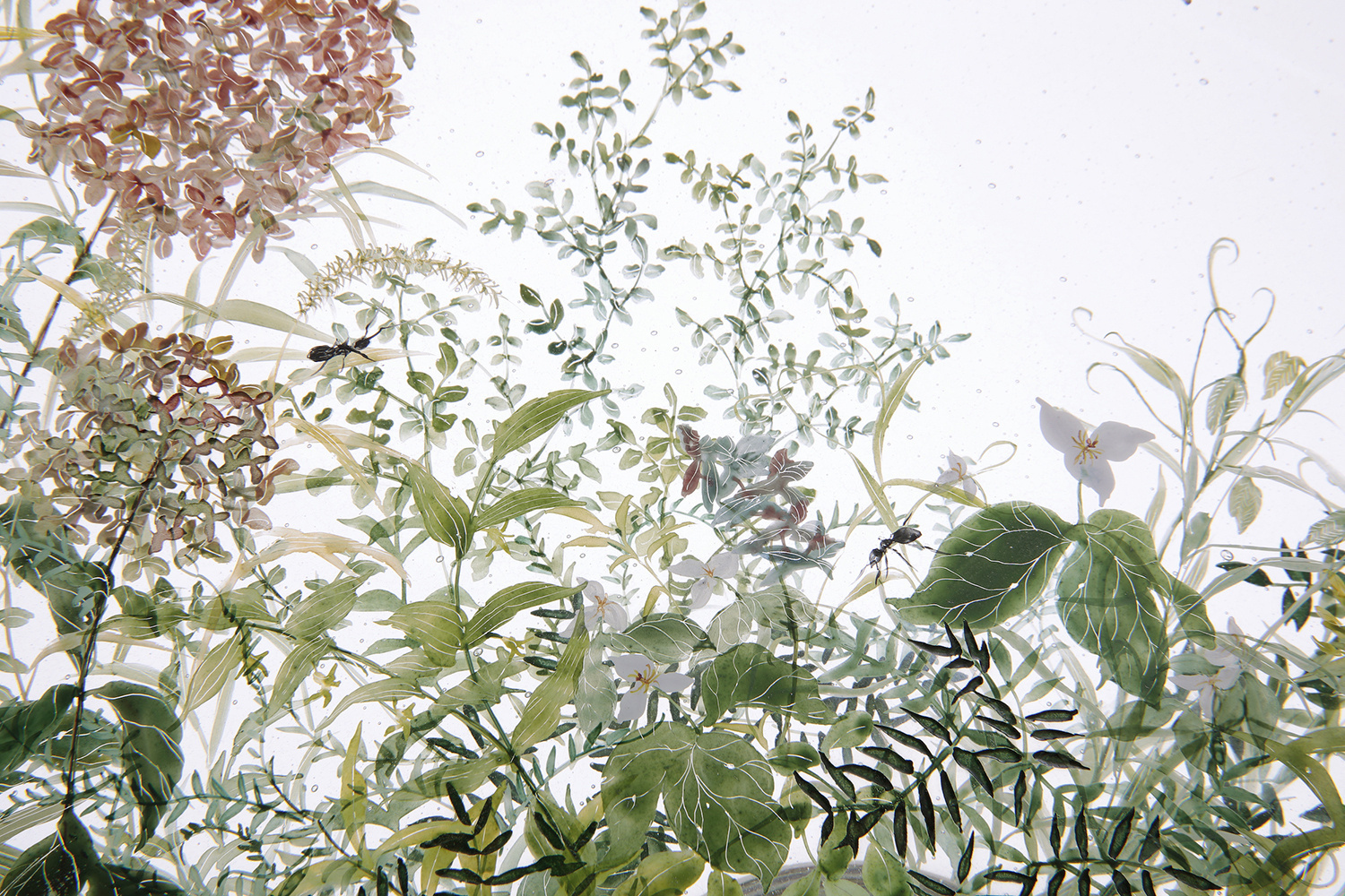 Nishiyama_yuki_glass