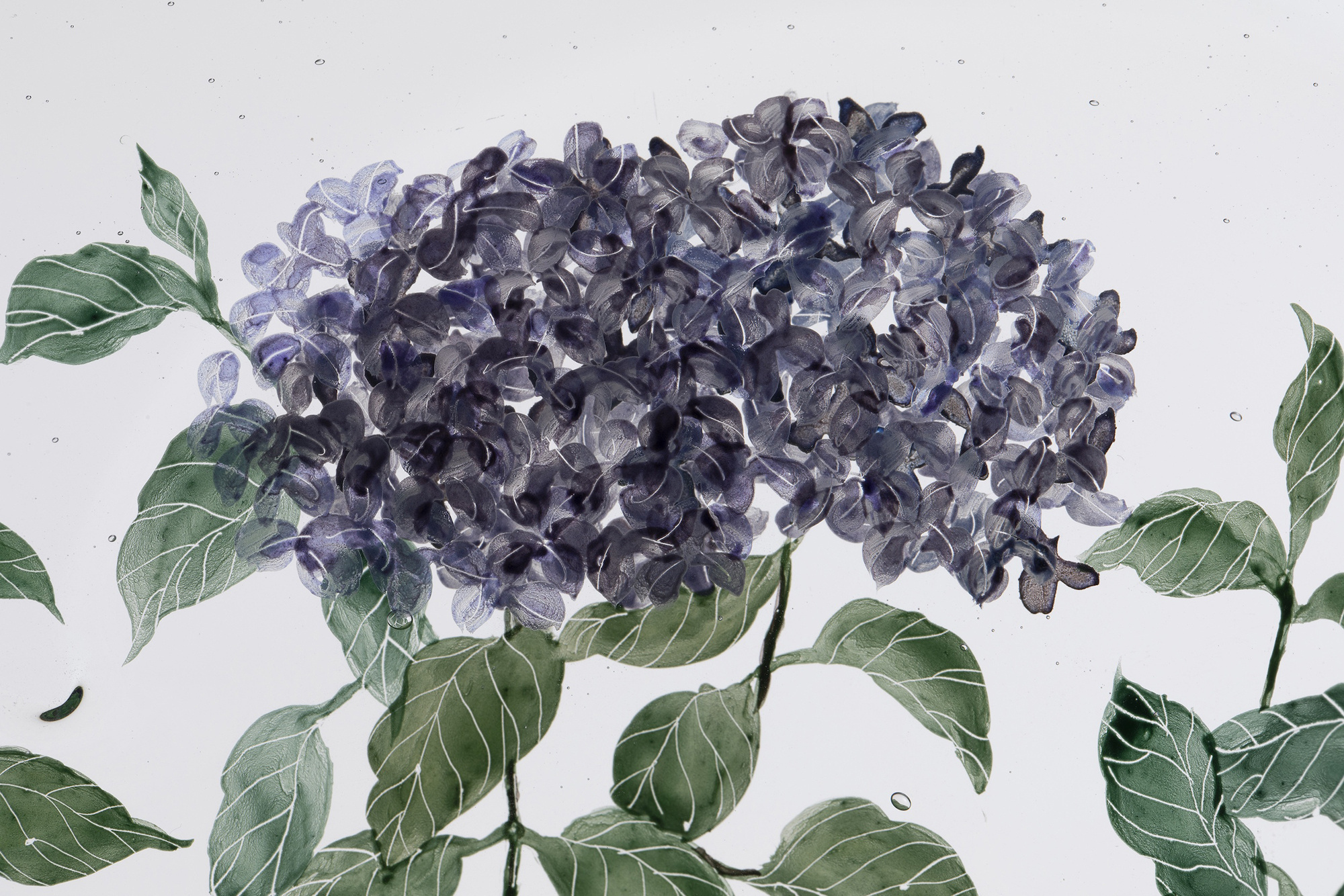 西山雪｜ガラス作家